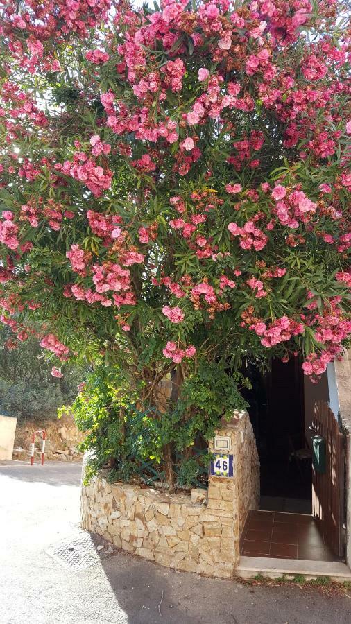 Bilocale Il Geraneo Villa Villasimius Bagian luar foto